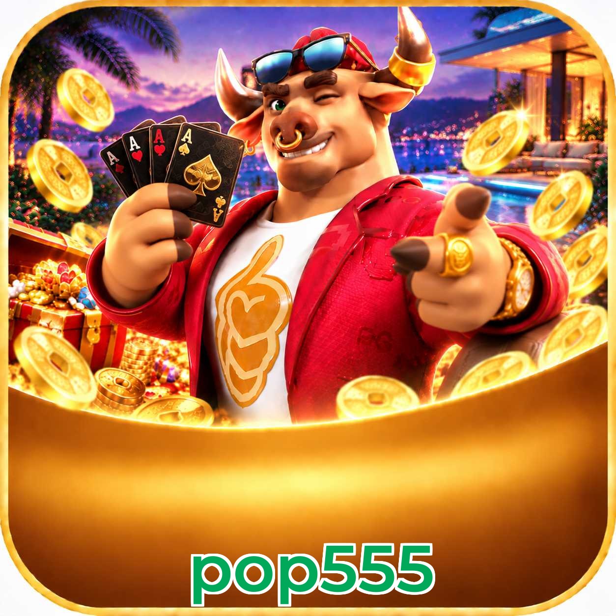 pop555 Version History
