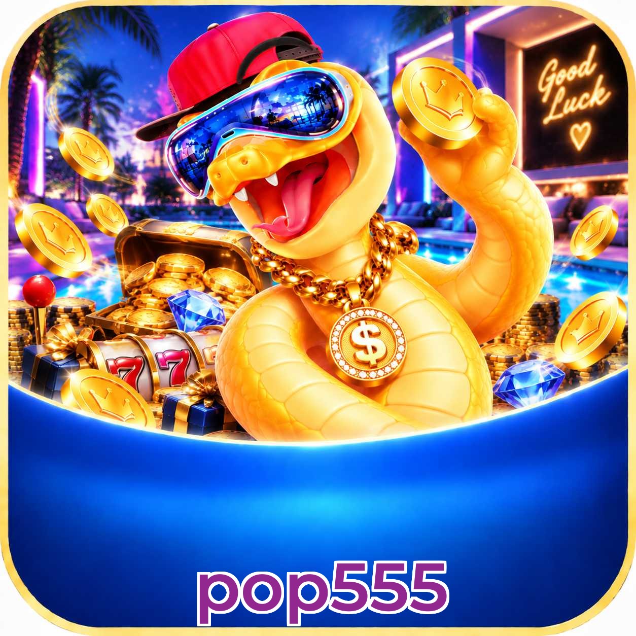 pop555 Installation Guide